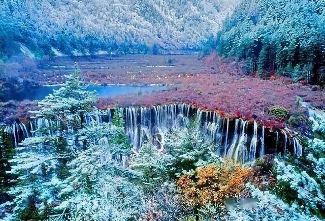 迈克生物:血清淀粉样蛋白A测定试剂盒取得注册证书