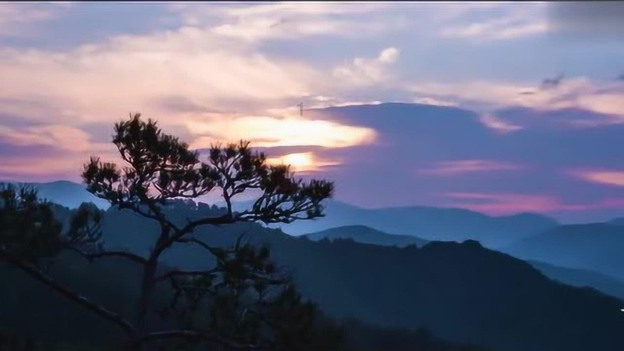 新鸿基地产涨2.5% 获郭氏家族增持