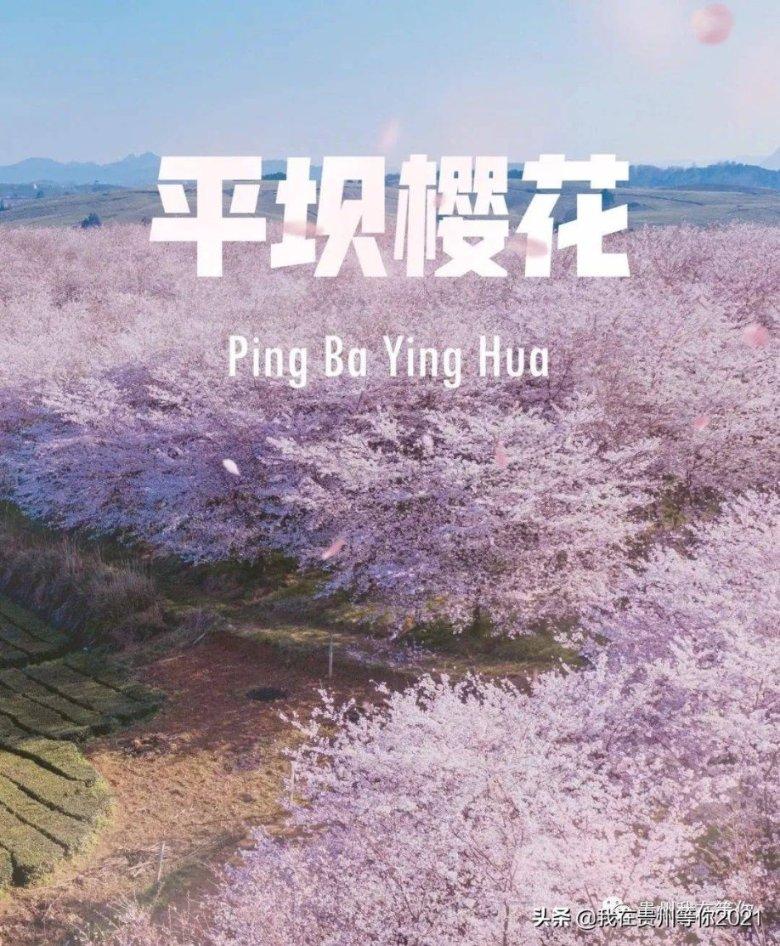 大同明堂魅力无限