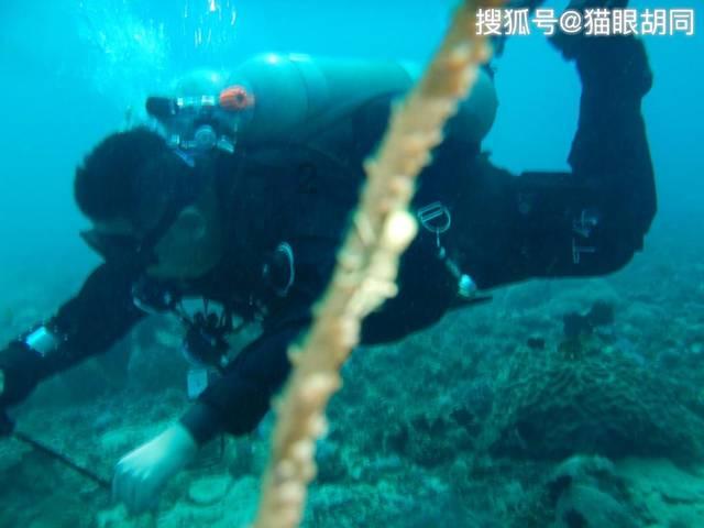 天启联盟
