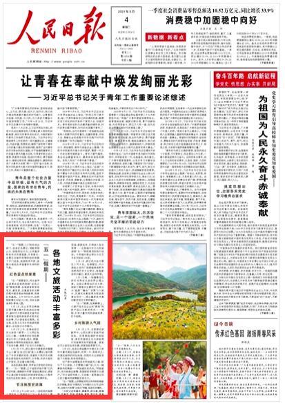 泰安东平:水鸟嬉戏,惊艳冬日时光