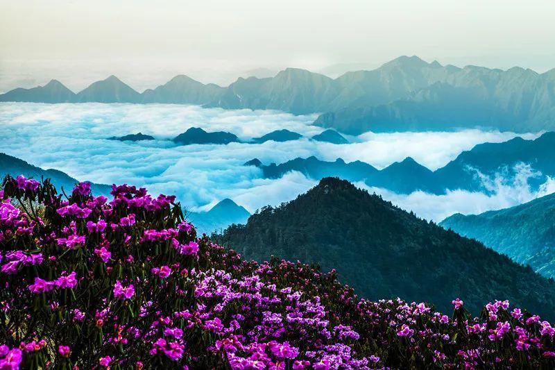 哪里的冬天最好？