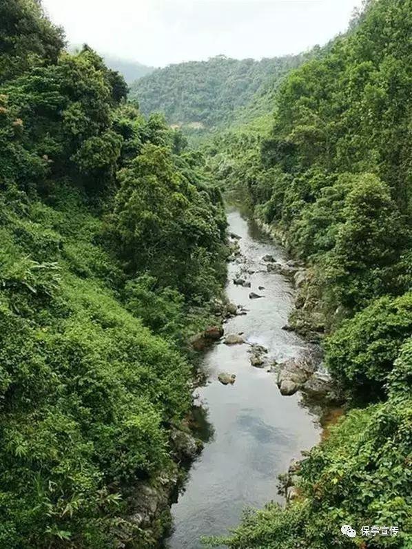汪小菲公开恋情，66岁张兰直播间回应，态度表示支持孩子恋爱
