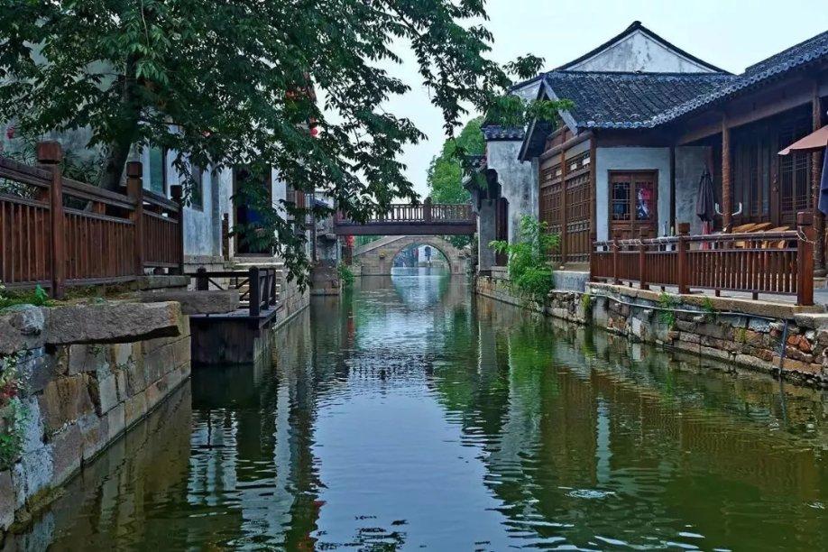 拯救机灵鸟