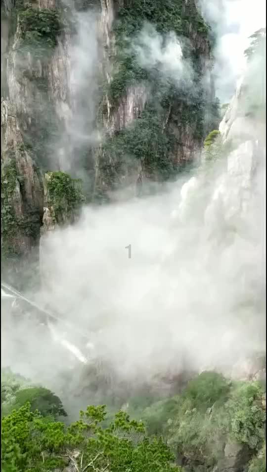 口蘑是烤着吃，最鲜吗？游戏画面